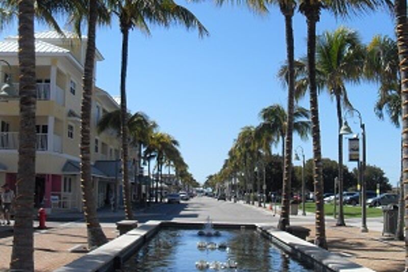 fountain and palm trees