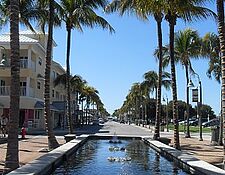 fountain and palm trees