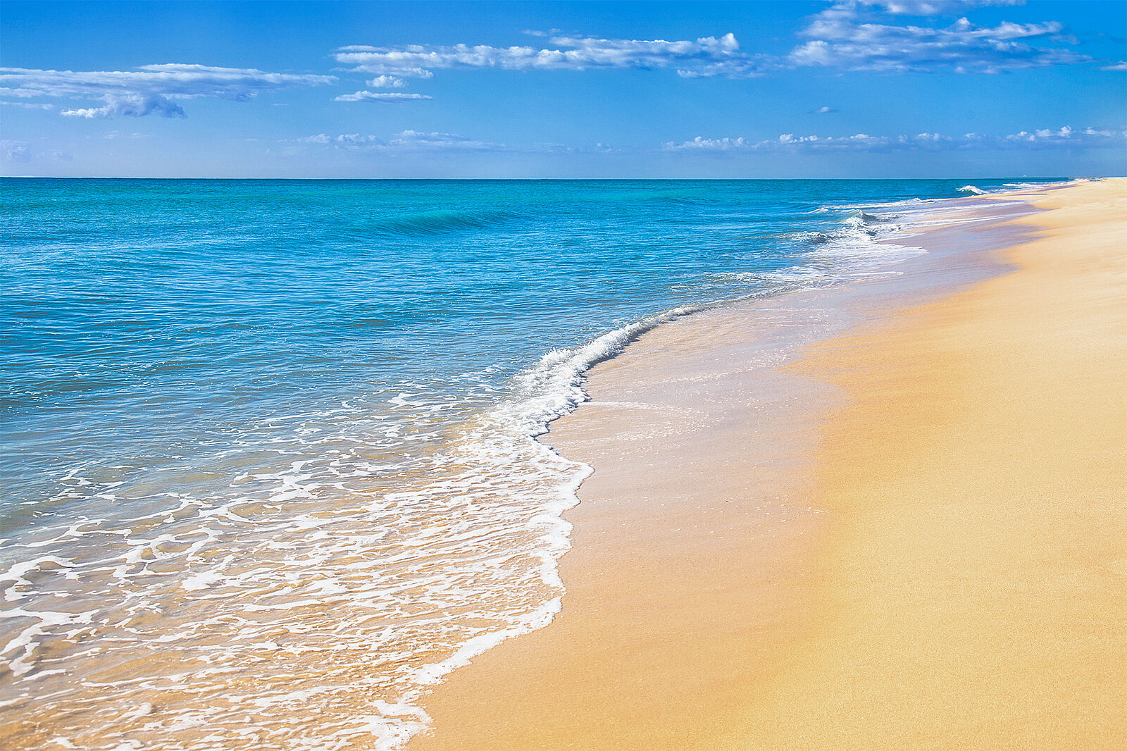Sunny view of bright blue ocean with gentle waves washing up on a sandy beach.
